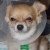 GALAXY2000 Di Guglia Tommaso